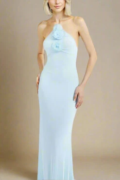 Ellie Bodycon Maxi Dress - Baby Blue